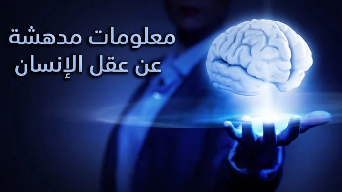 معلومات عن عقل الإنسان