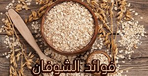 فوائد الشوفان الغذائية.