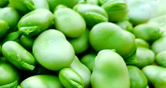 فوائد الفول الأخضر